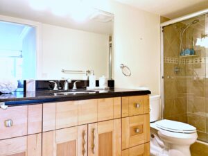Bathroom 2 300x225